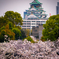 桜ノ宮から大阪城を望む