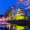 三大夜桜、高田城址公園