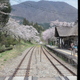 湯野上温泉駅の桜たち