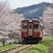 いすみ鉄道の春①～⑦の中の④