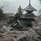 金峯山寺境内