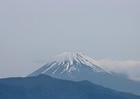 伊豆から見た富士
