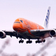 飛行機と桜と曇り空 1