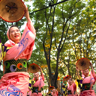 東北六魂祭　山形花笠祭