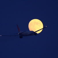 fly to the moon