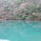 丹波篠山（！）の「青い池」