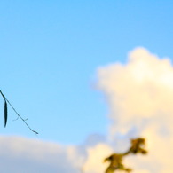 夏空。