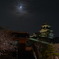 夜桜と月とお城