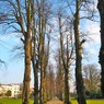 Footpath of Canterbury