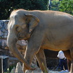 到津の森公園