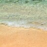Coco Palm Garden Beach Wave 4