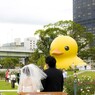 あひるのいる結婚式I