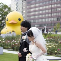 あひるのいる結婚式IV