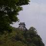 新緑の犬山城