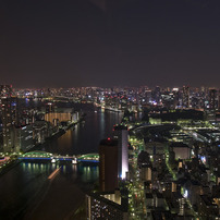 東京湾を望む