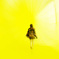 The yellow world