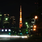 The Tokyo Tower@The Imperial Palace