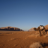 Wadi Rum,Jordan