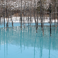 青い池の雪解け