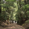 紀伊神社からの参道