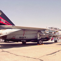 CVW-5 CAG bird at 1995～1997