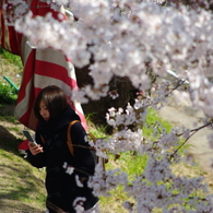 桜の木の下で