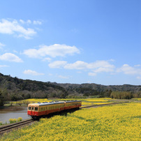 千葉県ローカル線の旅（いすみ鉄道・小湊鐵道・銚子電気鉄道・流鉄流山線など）