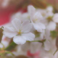 ソフトな感じに‥