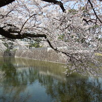 生まれた町で