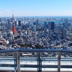 東京タワー