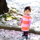 field of sakura 
