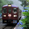 雨の駅