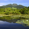 妙高山と睡蓮