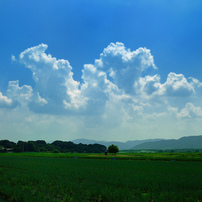 湧き立つ雲