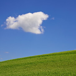 はぐれ雲に願いを込めて・・・