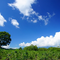 夏空！