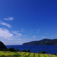 日本海を望む