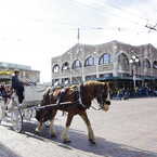 carriage of the downtown