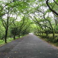 果てしないトンネル