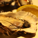 oyster