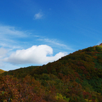 今年も行きました「太平山奥岳」05