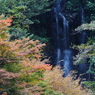 秋を求めて～清水の滝