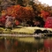 古峯神社の紅葉(庭園②)