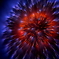 spark of fireworks