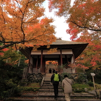 京都、常寂光寺　紅葉の頃