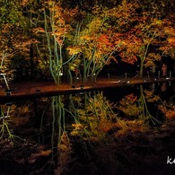 曽木公園の水鏡
