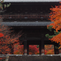京都の紅葉2012
