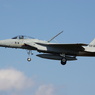 JASDF F-15J 02-8914 