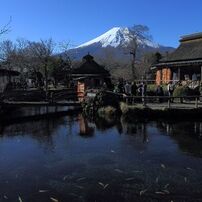 忍野八海