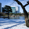 雪の浜離宮庭園⑩